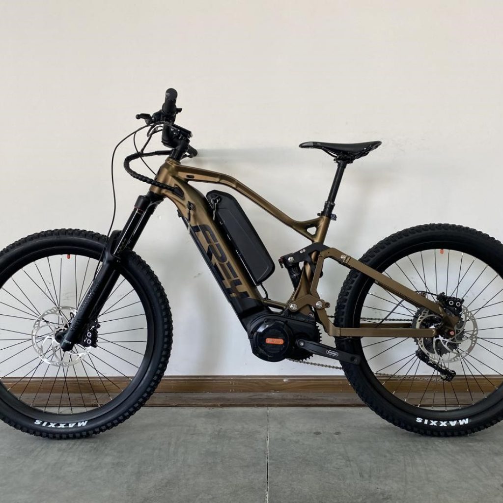 frey electric bike